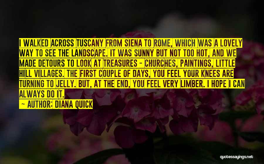 Hot Days Quotes By Diana Quick