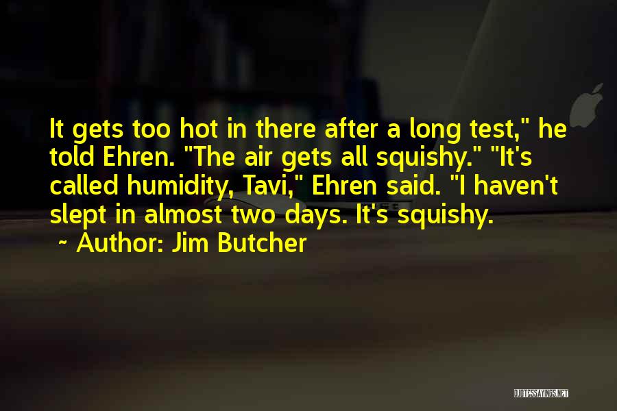 Hot Days Quotes By Jim Butcher