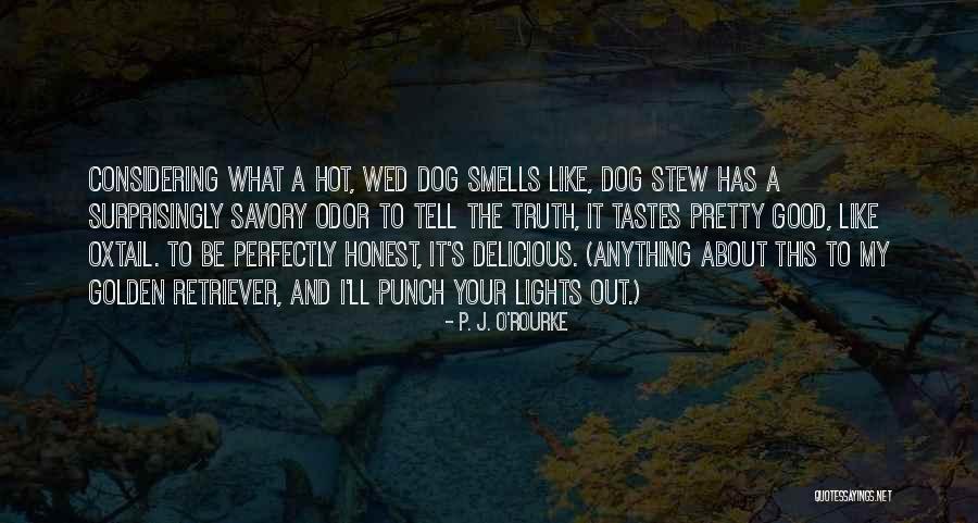 Hot Dog Funny Quotes By P. J. O'Rourke