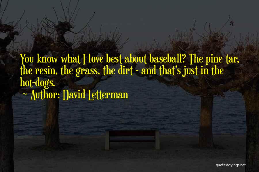 Hot Dogs Quotes By David Letterman