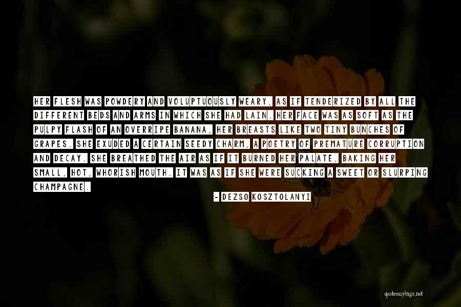 Hot Flash Quotes By Dezso Kosztolanyi Hot Flash Quotes By Dezso Kosztolanyi