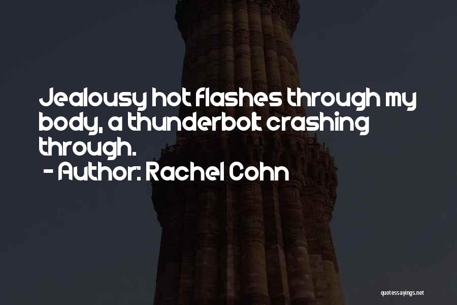 Hot Flashes Quotes By Rachel Cohn