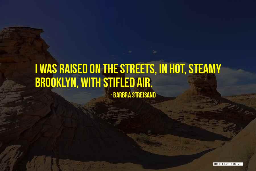 Hot N Steamy Quotes By Barbra Streisand