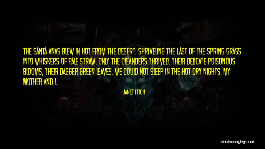 Hot Nights Quotes By Janet Fitch Hot Nights Quotes By Janet Fitch
