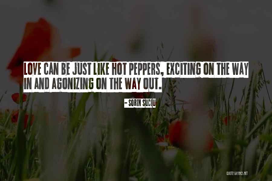 Hot Peppers Quotes By Sorin Suciu