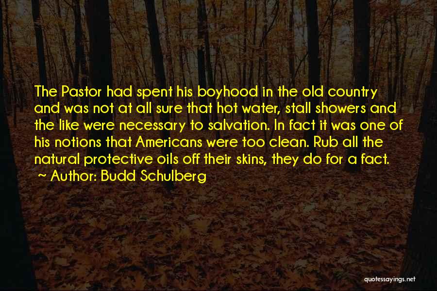 Hot Quotes By Budd Schulberg