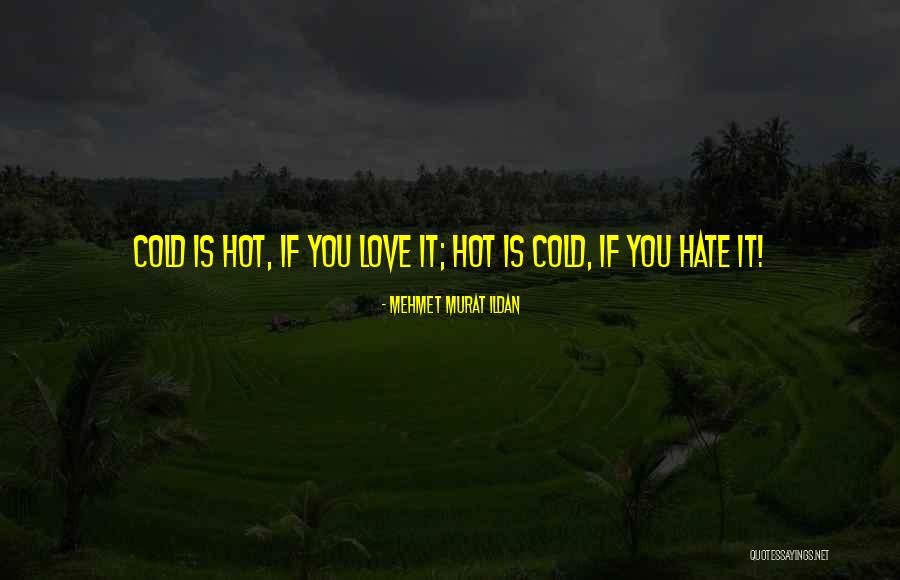 Hot Quotes Quotes By Mehmet Murat Ildan