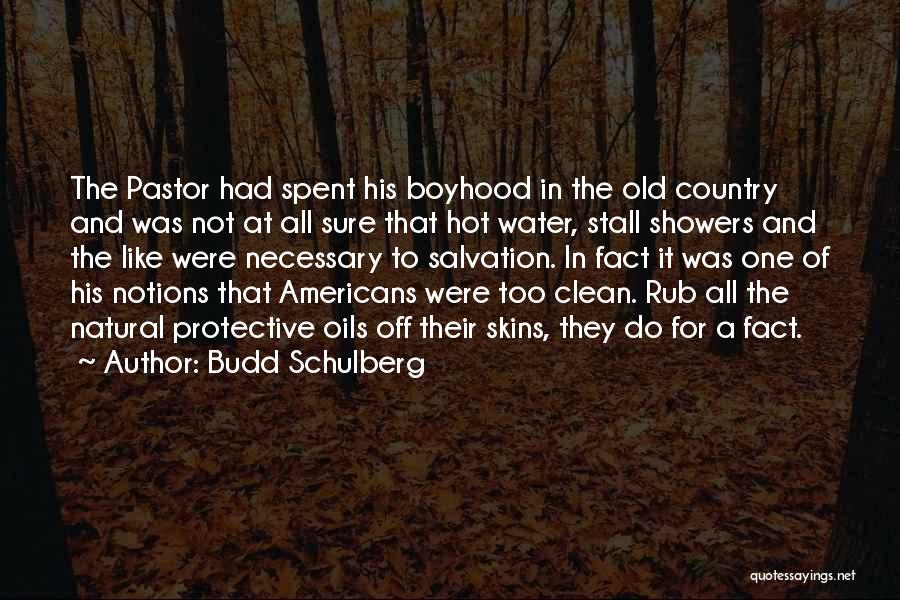Hot Showers Quotes By Budd Schulberg