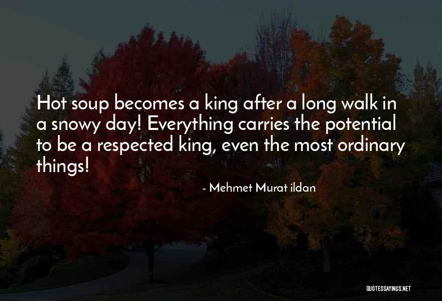 Hot Soup Quotes By Mehmet Murat Ildan Hot Soup Quotes By Mehmet Murat Ildan