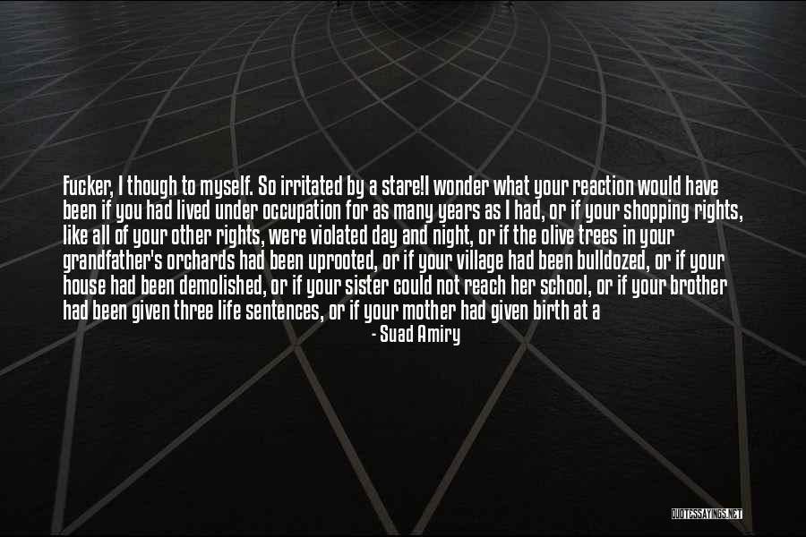 Hot Summers Quotes By Suad Amiry Hot Summers Quotes By Suad Amiry