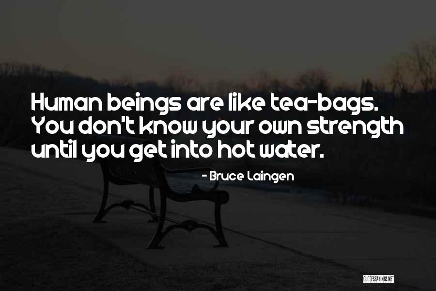 Hot Tea Quotes By Bruce Laingen