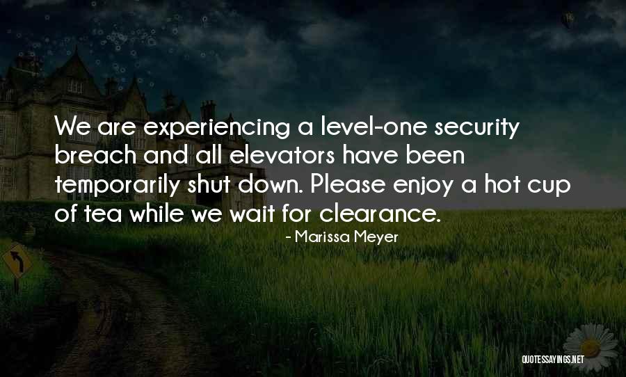 Hot Tea Quotes By Marissa Meyer Hot Tea Quotes By Marissa Meyer