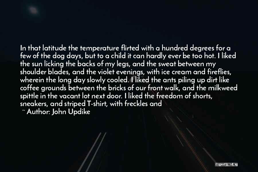 Hot Temperature Quotes By John Updike