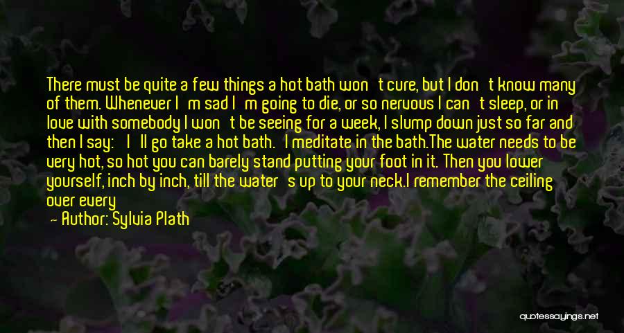 Hot Tub Love Quotes By Sylvia Plath