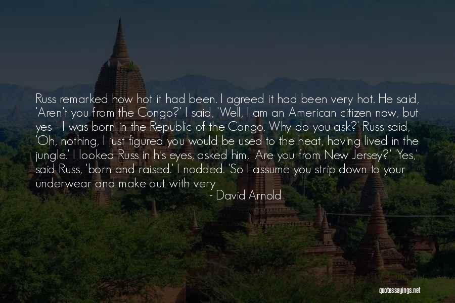 Hot Tubs Quotes By David Arnold