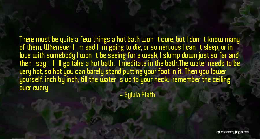 Hot Tubs Quotes By Sylvia Plath