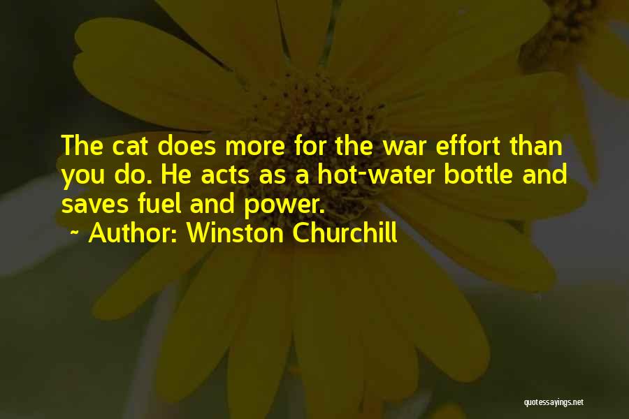 Hot Water Bottles Quotes By Winston Churchill