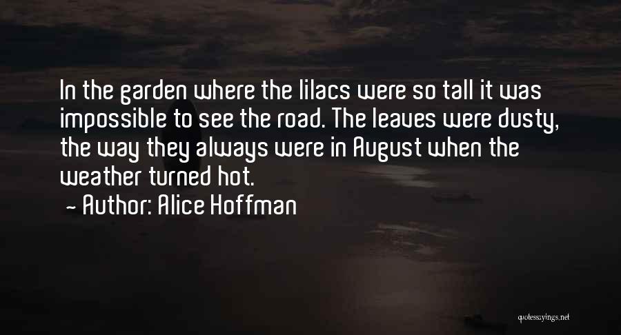 Hot Weather Quotes By Alice Hoffman