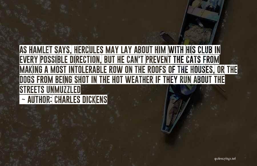 Hot Weather Quotes By Charles Dickens