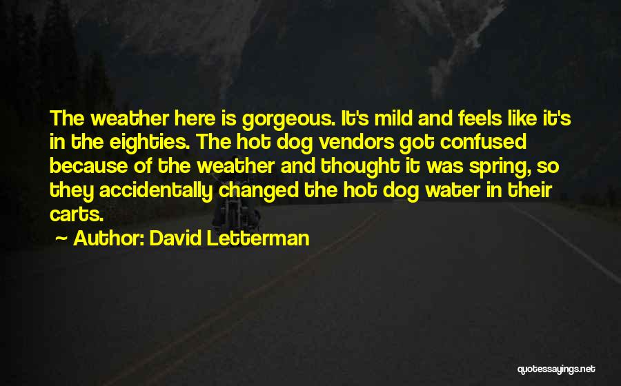 Hot Weather Quotes By David Letterman