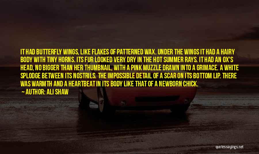 Hot Wings Quotes By Ali Shaw