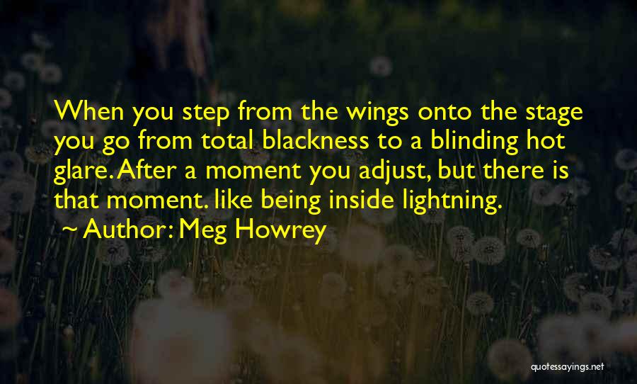 Hot Wings Quotes By Meg Howrey