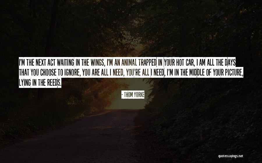 Hot Wings Quotes By Thom Yorke Hot Wings Quotes By Thom Yorke