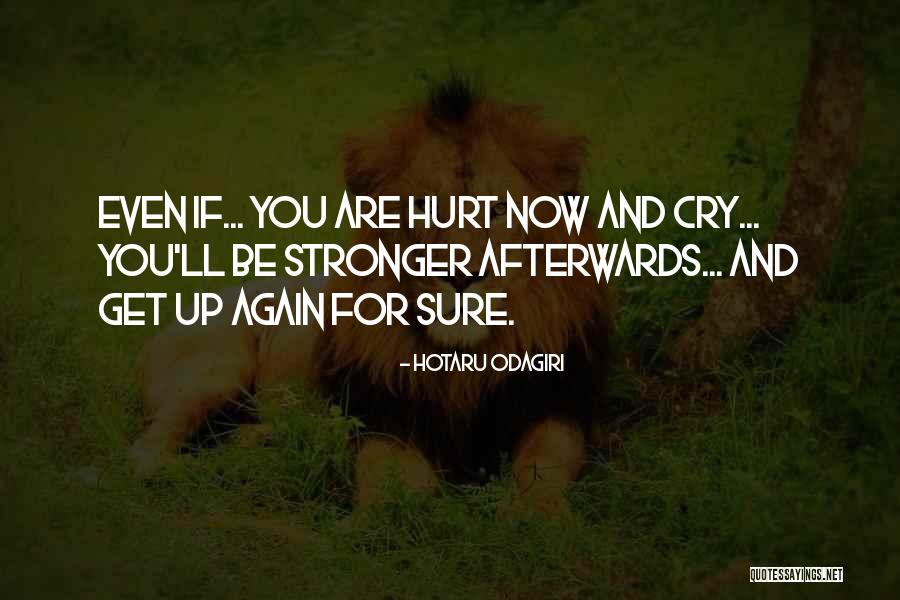 Hotaru Odagiri Quotes 137231 Hotaru Odagiri Quotes 137231