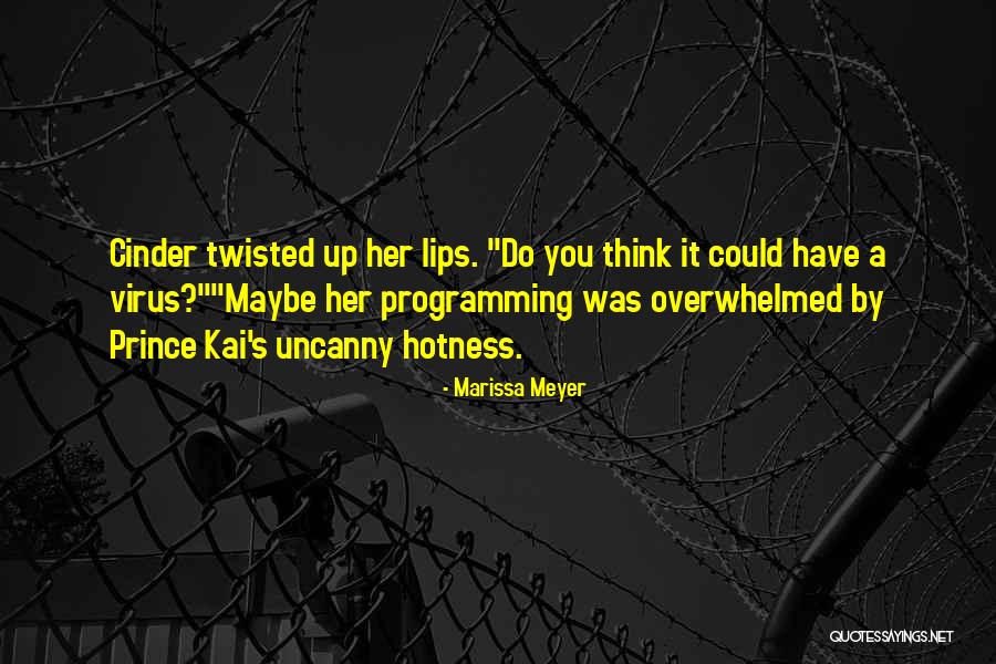 Hotness Quotes By Marissa Meyer