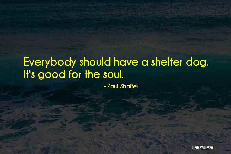 Hotted Twitch Quotes By Paul Shaffer Hotted Twitch Quotes By Paul Shaffer