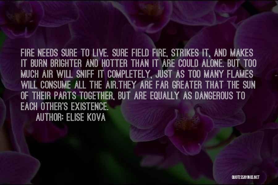 Hotter Than Quotes By Elise Kova