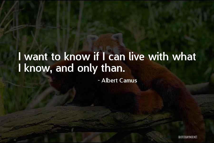 Hottman Plumbing Quotes By Albert Camus Hottman Plumbing Quotes By Albert Camus