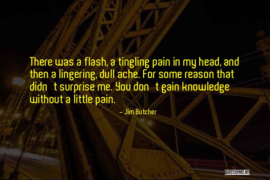Hottttttt Quotes By Jim Butcher Hottttttt Quotes By Jim Butcher