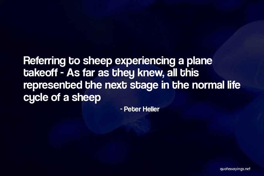 Hougardy Beer Quotes By Peter Heller Hougardy Beer Quotes By Peter Heller