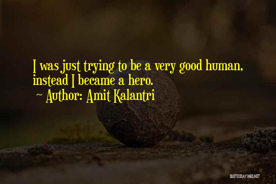 Houlberg Artist Quotes By Amit Kalantri