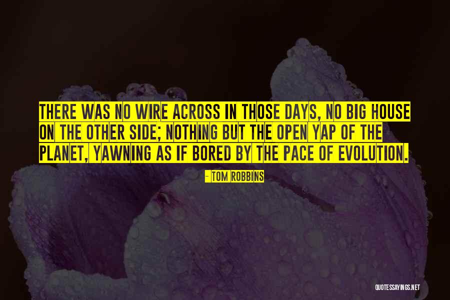 Houman Seyyedi Quotes By Tom Robbins Houman Seyyedi Quotes By Tom Robbins