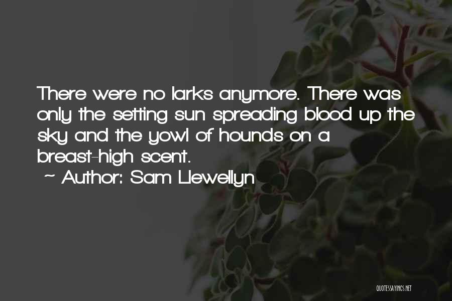 Hounds Quotes By Sam Llewellyn