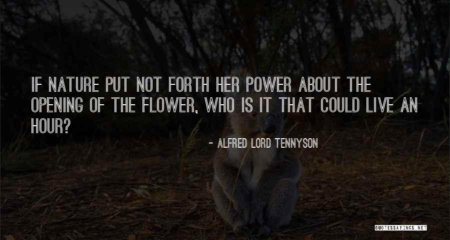 Hours Quotes By Alfred Lord Tennyson Hours Quotes By Alfred Lord Tennyson