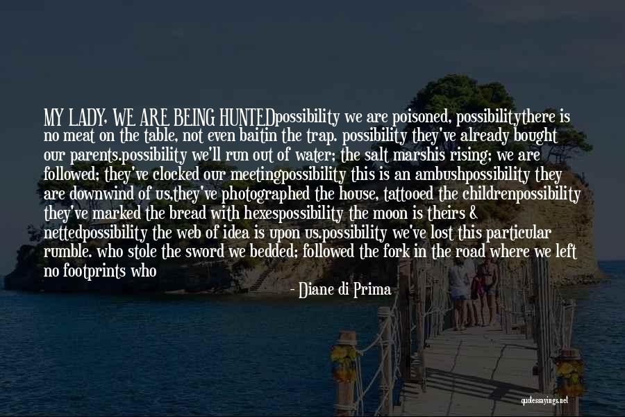 House Amber Quotes By Diane Di Prima House Amber Quotes By Diane Di Prima