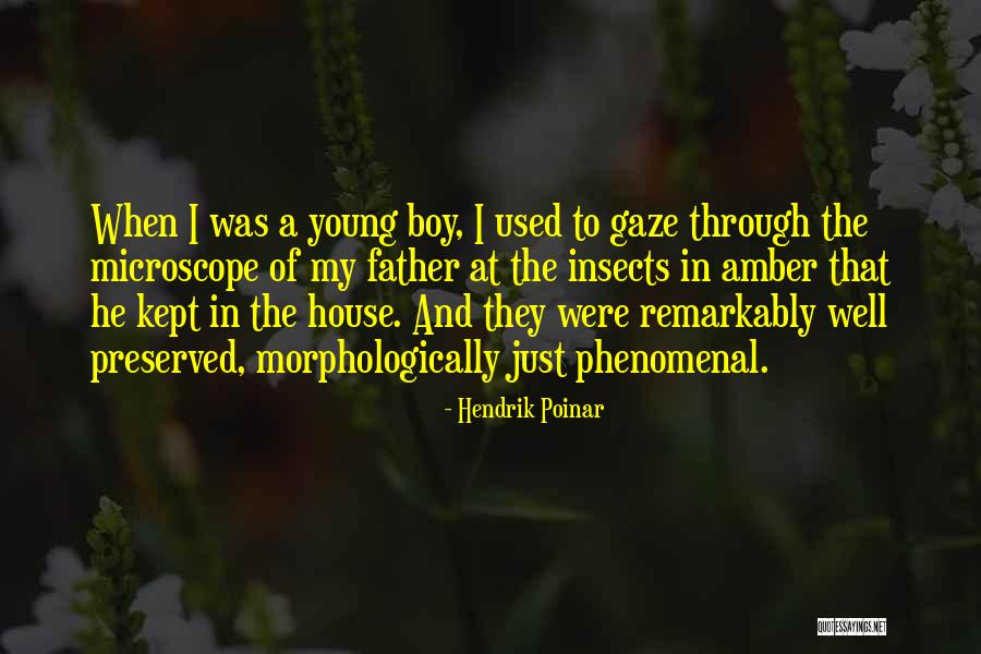 House Amber Quotes By Hendrik Poinar House Amber Quotes By Hendrik Poinar