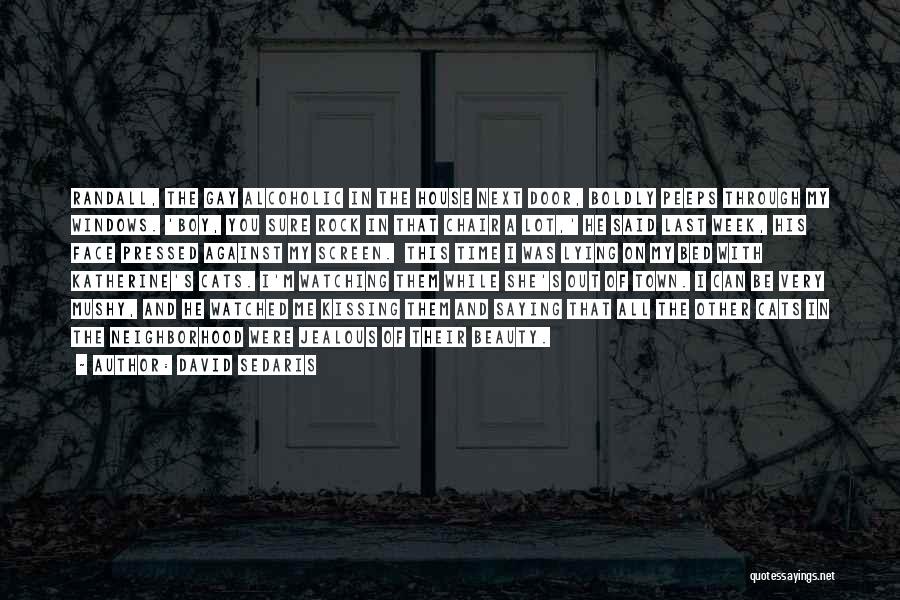 House And Lot Quotes By David Sedaris