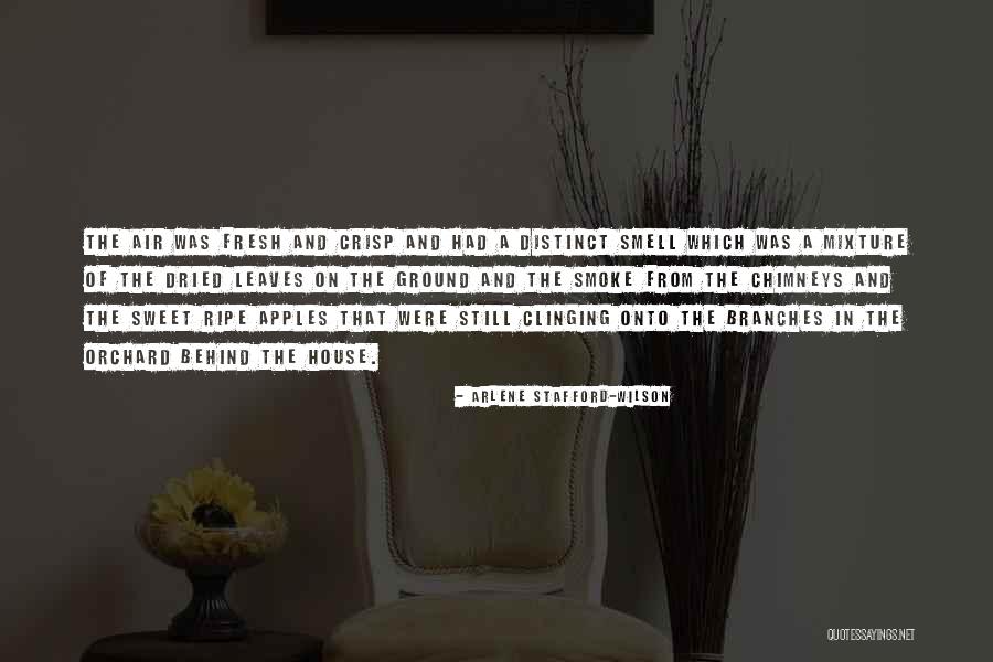 House And Wilson Quotes By Arlene Stafford-Wilson House And Wilson Quotes By Arlene Stafford-Wilson
