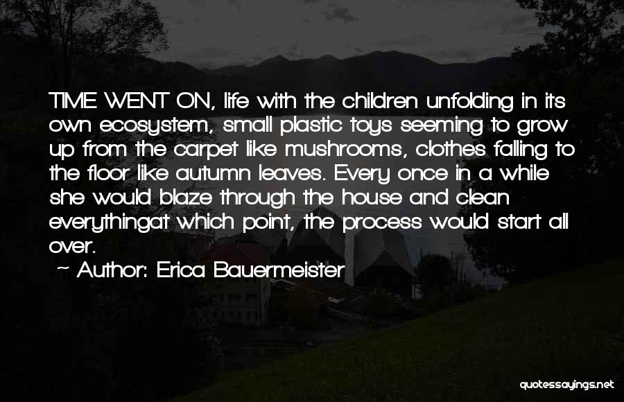 House Cleaning Quotes By Erica Bauermeister
