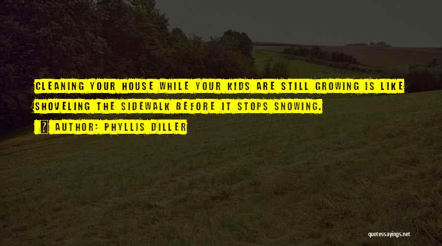 House Cleaning Quotes By Phyllis Diller