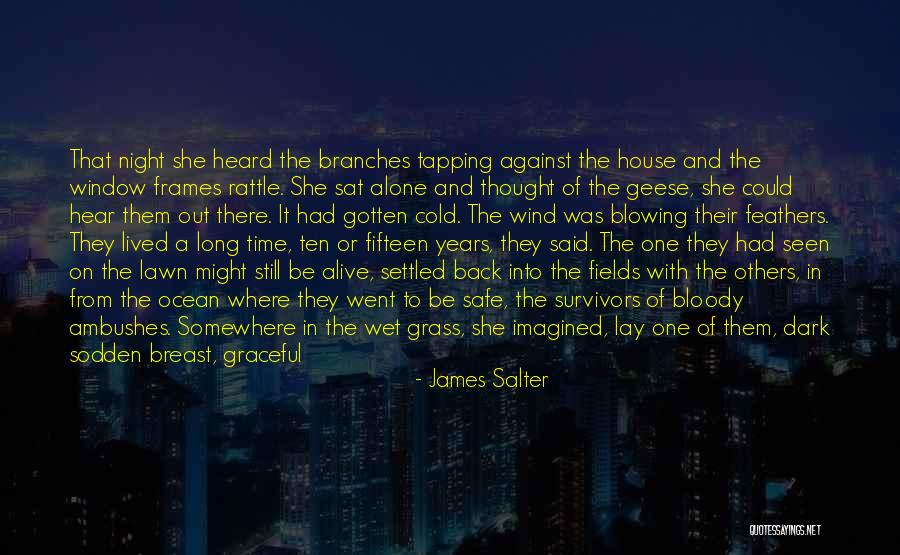House Lights Quotes By James Salter House Lights Quotes By James Salter