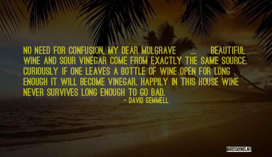 House Of Leaves Quotes By David Gemmell