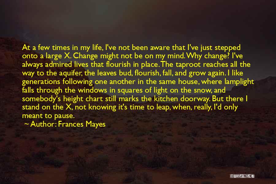 House Of Leaves Quotes By Frances Mayes