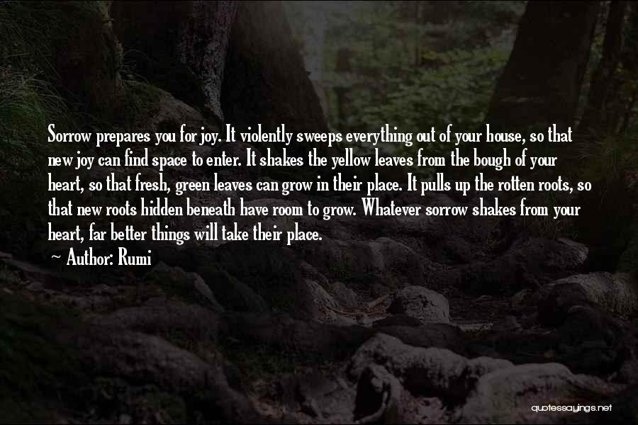 House Of Leaves Quotes By Rumi
