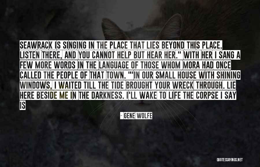 House Of Lies Quotes By Gene Wolfe House Of Lies Quotes By Gene Wolfe