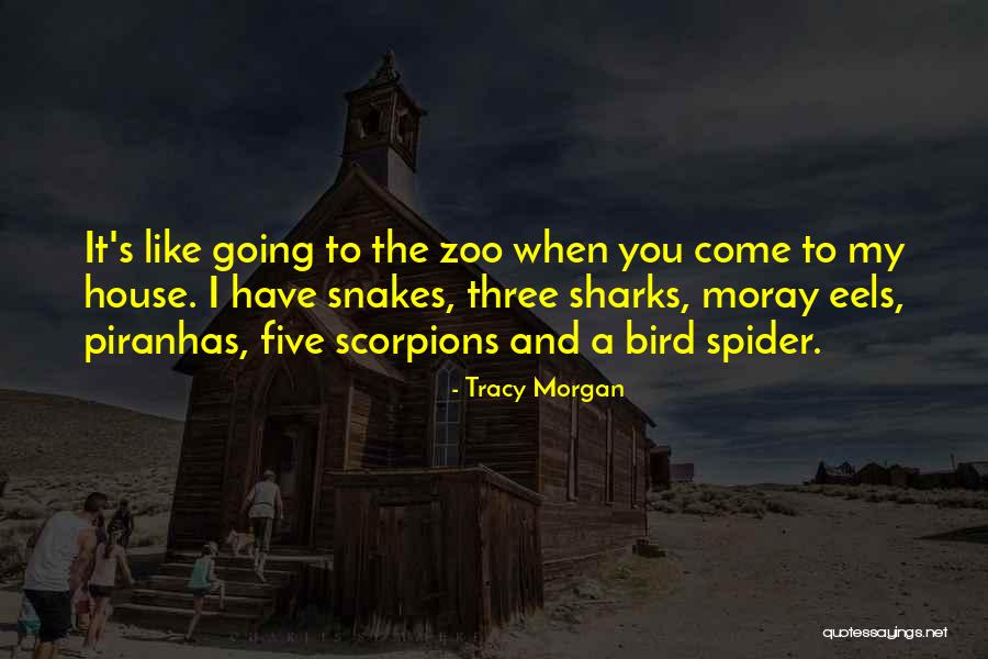 House Of Scorpions Quotes By Tracy Morgan House Of Scorpions Quotes By Tracy Morgan
